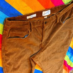 Classic Corduroys, Vintage Bootcut, Size 18/34R